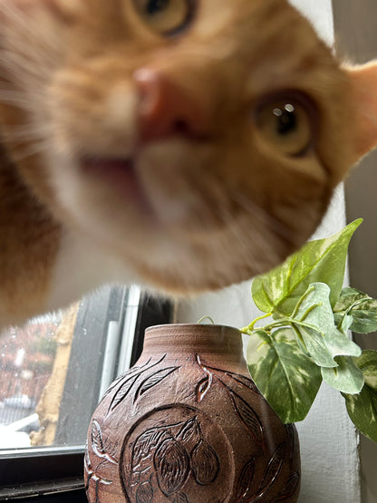 ਅੰਬ (mango) vase